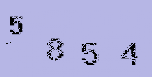 Captcha Image: you will need to recognize the text in it.