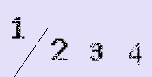 Captcha Image: you will need to recognize the text in it.