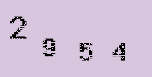 Captcha Image: you will need to recognize the text in it.