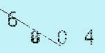 Captcha Image: you will need to recognize the text in it.